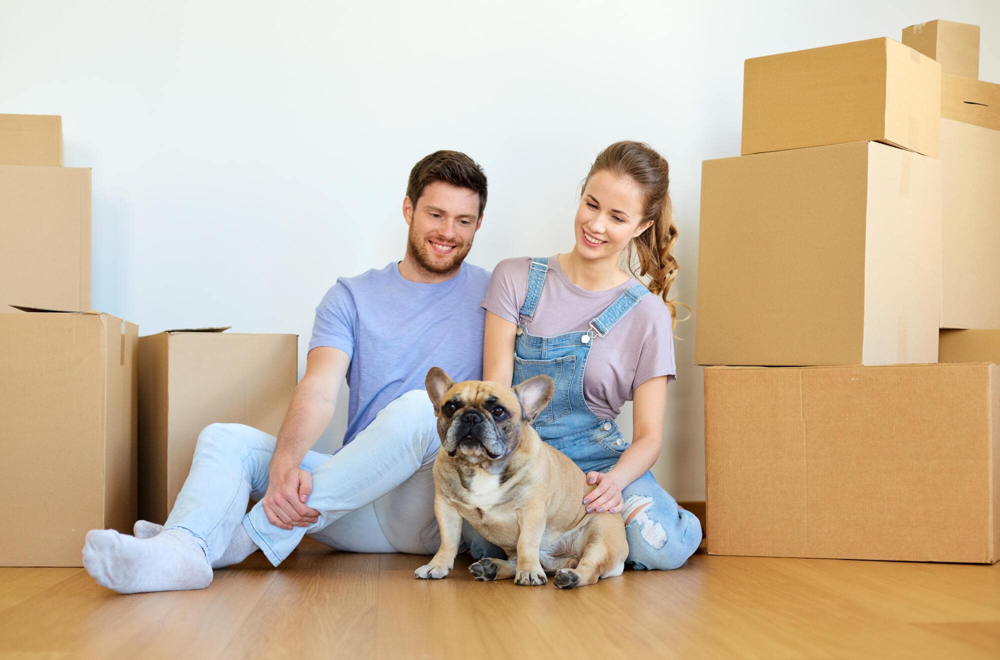 Managing Pets in a Rental Property: A Complete Guide in Monroe, NJ